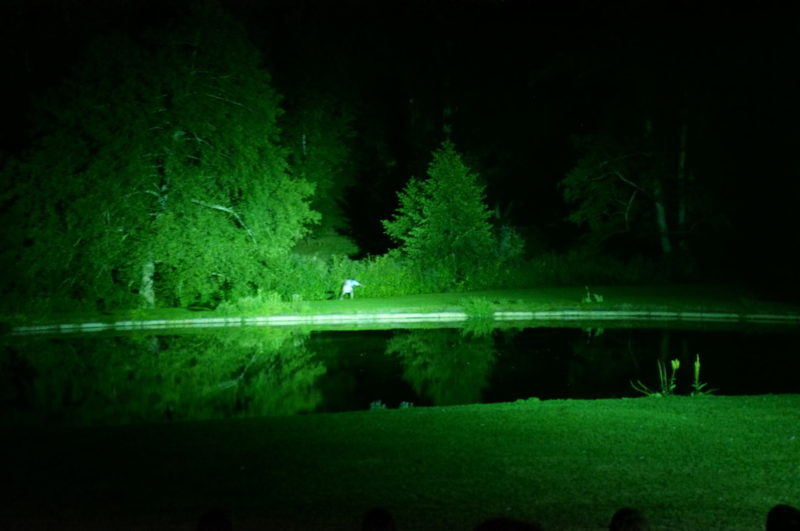 LetangSuspendu_©FBonnemaison1_