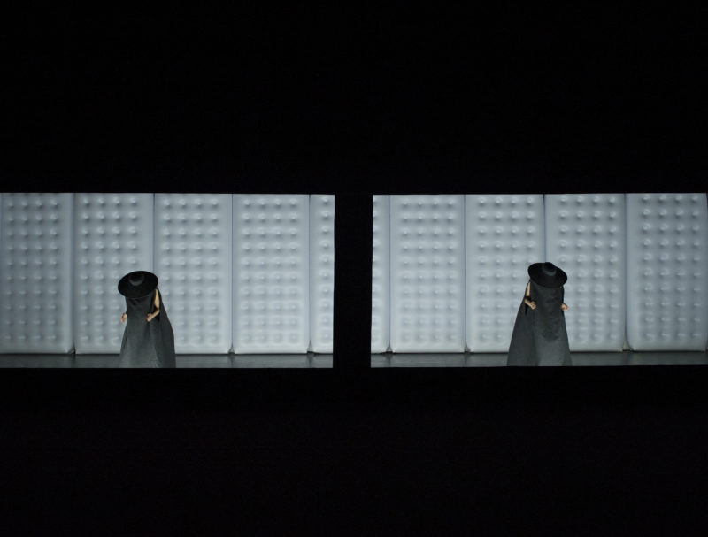 Stéréoscopia_VDupont_photo1_©MarcDomage_